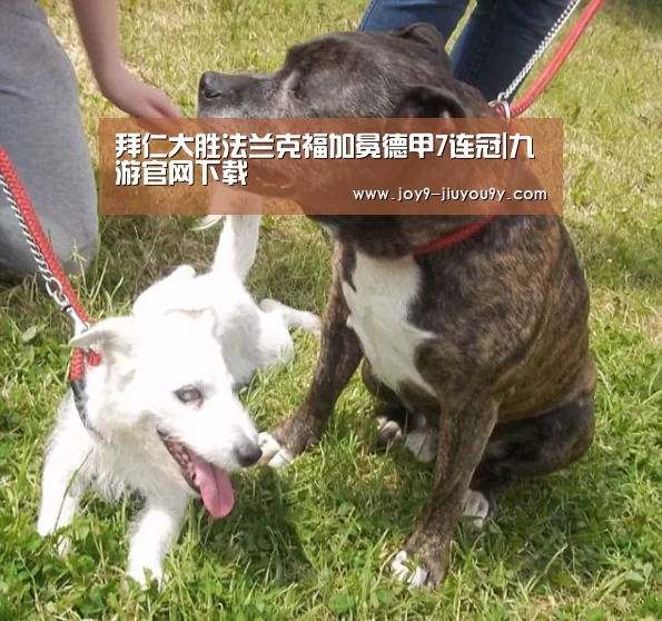 拜仁大胜法兰克福加冕德甲7连冠|九游官网下载(图1) 九游游戏平台官网