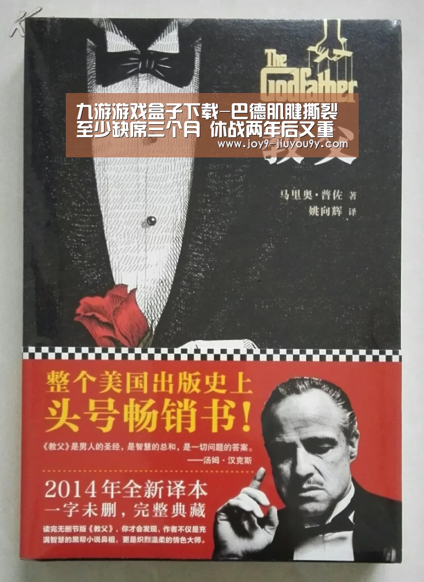 九游游戏盒子下载-巴德肌腱撕裂至少缺席三个月 休战两年后又重伤(图2) 九游游戏盒子下载