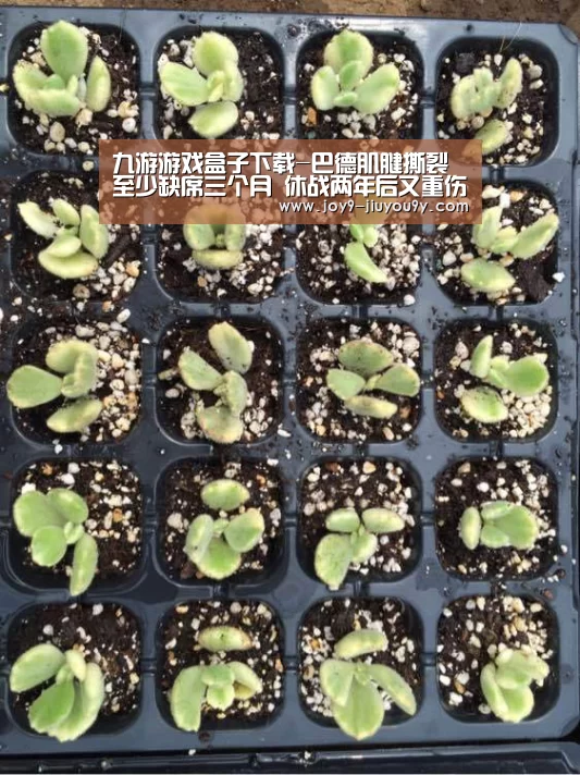 九游游戏盒子下载-巴德肌腱撕裂至少缺席三个月 休战两年后又重伤(图1) 九游游戏中心手机版