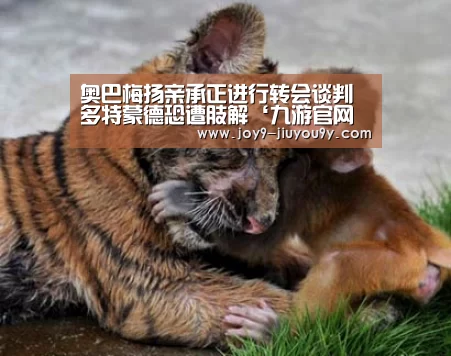 九游游戏平台官网