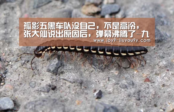 九游游戏平台官网